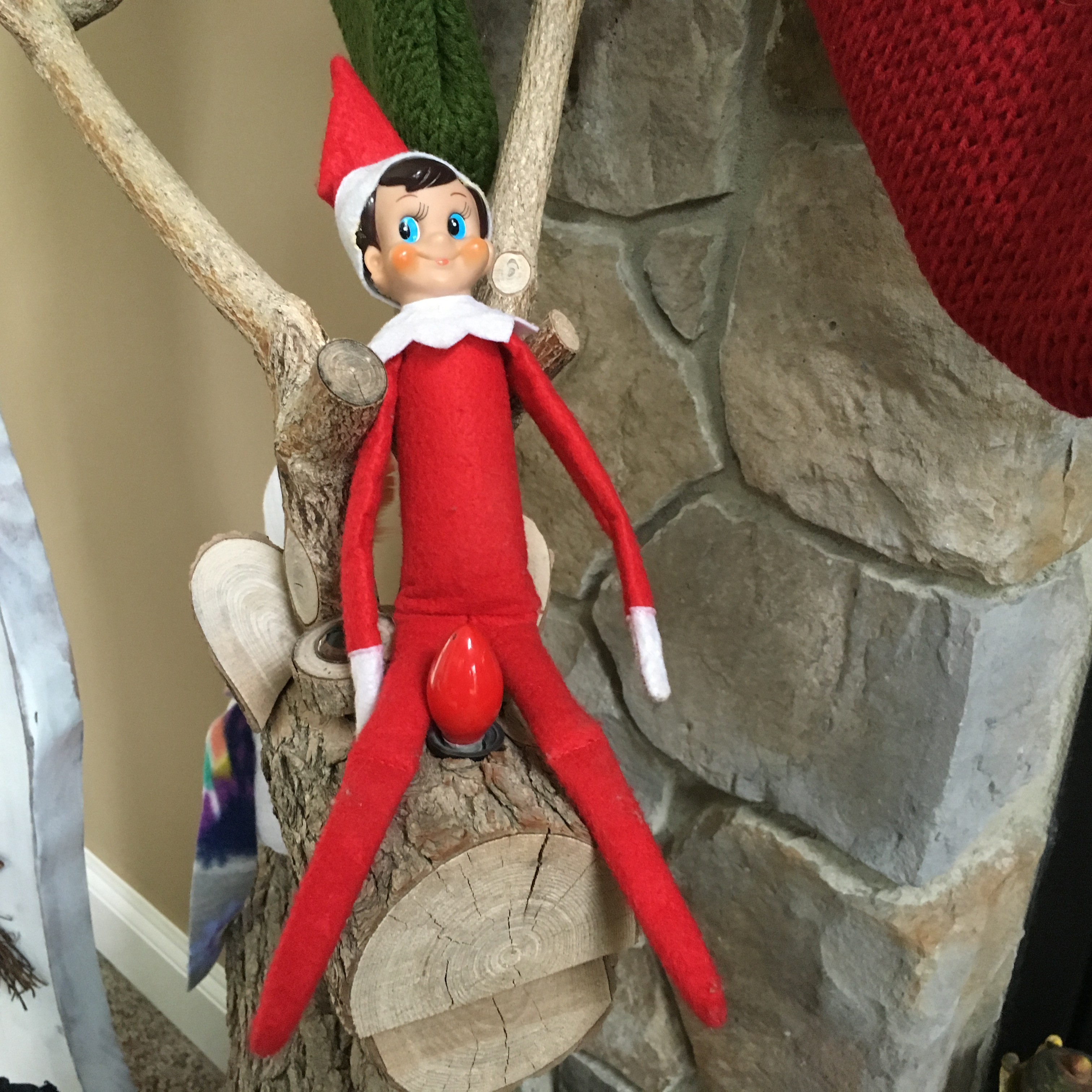 Elf on the shelf 